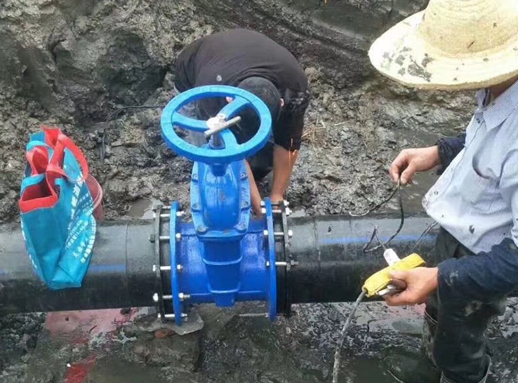 Projeto de tratamento de esgoto da cidade de Jiangyin Xu Xiake 2023