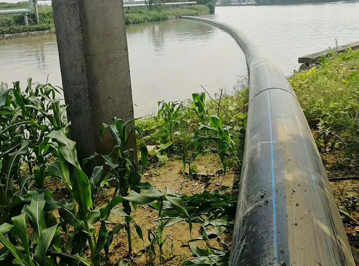 Projeto de Irrigação Agrícola 2022 em Xangai